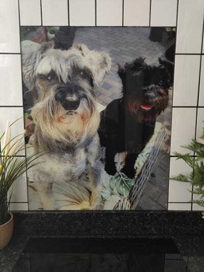In situ image by karen Thornicroft from Leamington Spa