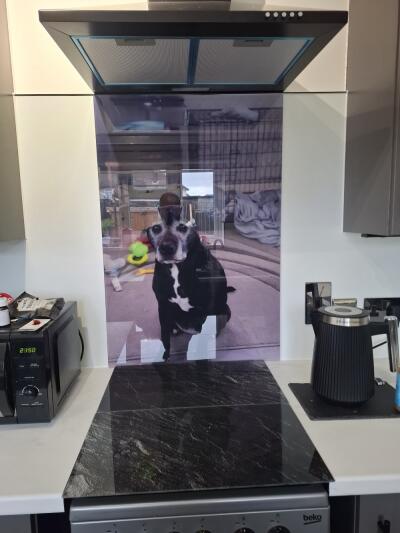 In situ image by Paul James Wood from Essex