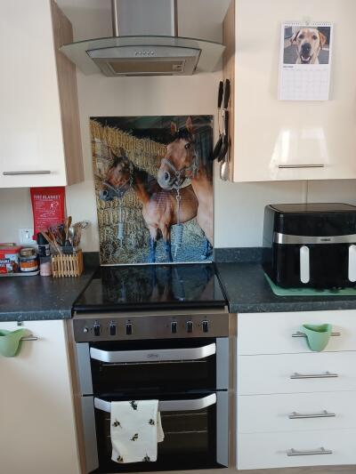 In situ image by Eva Rylance from Worcester