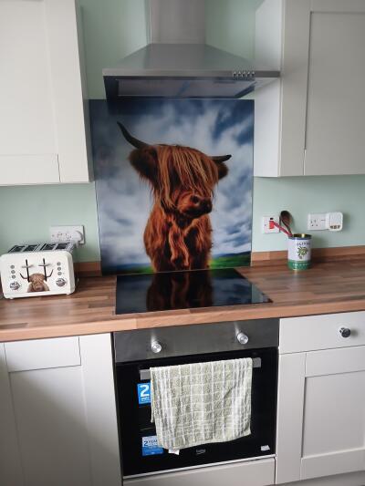 In situ image by Toni Wallington from Saltburn by the aea