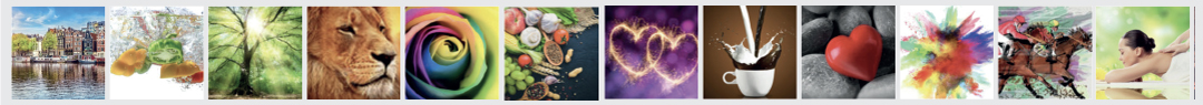Banner of Shutterstock image ideas.