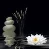 4 x Acrylic Coaster in Water Lily