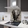 Illustration of Glass Splashback With Fixing Holes in Elephant - 60cm Wide x 100cm High