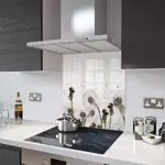 Dandelion Clocks - Kitchen Glass Splashback - 100cm Wide x 50cm High