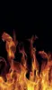 Glass Hob Cover / Chopping Board in Real Flames - 30cm Wide x 52cm High