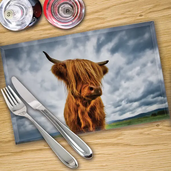 Glass Placemats x 4 In Highland Cow