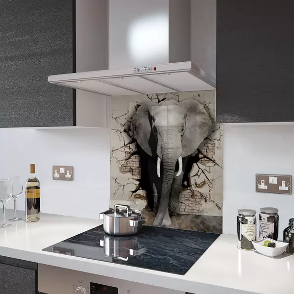 Glass Splashback With Fixing Holes in Elephant - 60cm Wide x 100cm High