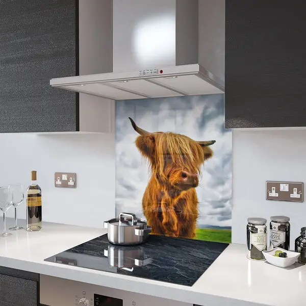 Glass Splashback With Fixing Holes in Highland Cow - 60cm Wide x 100cm High