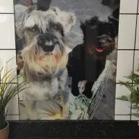 Image of customer's product in situ.