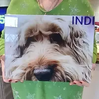 Image of customer's product in situ.