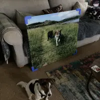 Image of customer's product in situ.