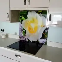 Image of customer's product in situ.