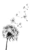 Glass Splashback With Fixing Holes in Dandelion White - 60cm Wide x 100cm High