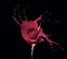 Glass Hob Cover / Chopping Board in Paint Drip Rose - 60cm Wide x 52cm High