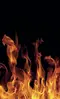 Glass Splashback With Fixing Holes in Real Flames - 60cm Wide x 100cm High